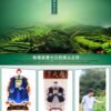 Zhongmin Hongtai Premium Luxiang Type Fujian Anxi Tieguanyin Orchid Fragrant Tea Small Bag Boxed 70g/G48 - Image 6