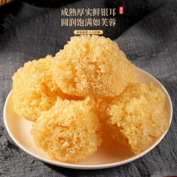 Fudonghai Mushroom Mountain Treasure Dry Goods Gift Box Spring Festival Six Pins Gift Box Hime-Matsutake Soup New Year's Goods Gift Delivery Wholesale - Image 4