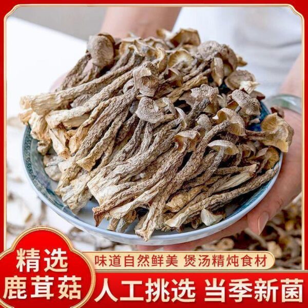 Deer Antler Mushroom Edible Mushroom Dried Goods Nutrition Shiitake Mushroom Soup Ingredients Deer Antler Mushroom Dry Pot Stir-fried Fragrance Fresh and Delicious - Image 6