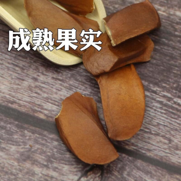 Bottled Solomon to Tianguo Wild Premium Genuine New Fruit Imported Full Effect 500g - Image 4