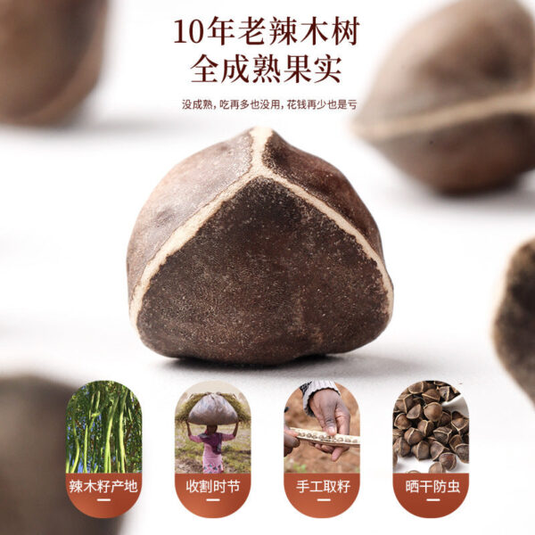 Fudonghai Moringa Seed 300g, Yunnan Old Tree Large Granular Chinese Herbal Medicine Moringa Fruit Soup Soaked in Water Wholesale - Image 2