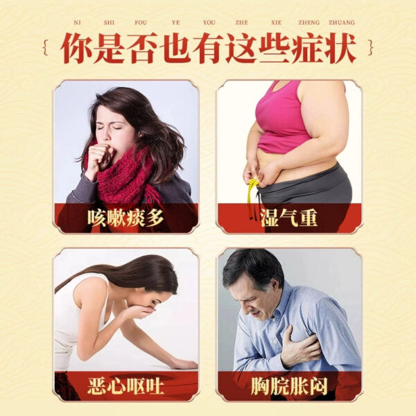 Foci Erchen Pills Ercheng Pills Pingwei Pills Strengthen the spleen, reduce phlegm and remove dampness Erchen Decoction Cough Official Flagship Store Genuine - Image 2