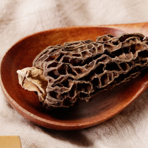 Fudonghai Morchella 60g/can South Specialty Morchella Dried Goods Cut Feet No Morchella Edible Mushroom Tonic - Image 3