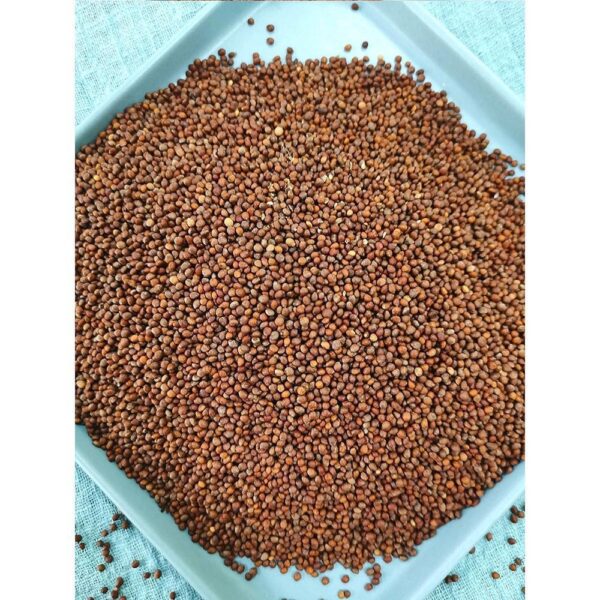 Cooked perilla seeds 500g new goods baked perilla seeds edible fried perilla seeds moon cake filling barbecue seasoning - Image 4