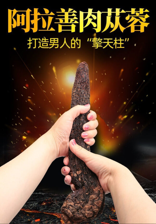 Chinese herbal medicine Cistanche 500g genuine Alxa whole root Cistanche sliced sparkling wine material male nourishment - Image 6