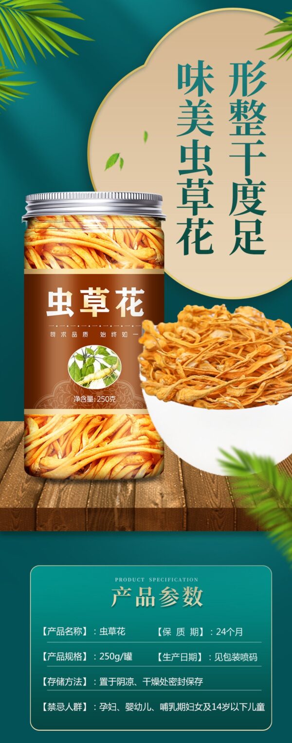 Cordyceps official flagship store dry goods 250g golden chrysalis cordyceps dried mushroom soup package stewed chicken soup from Cong Caohua commercial - Image 6