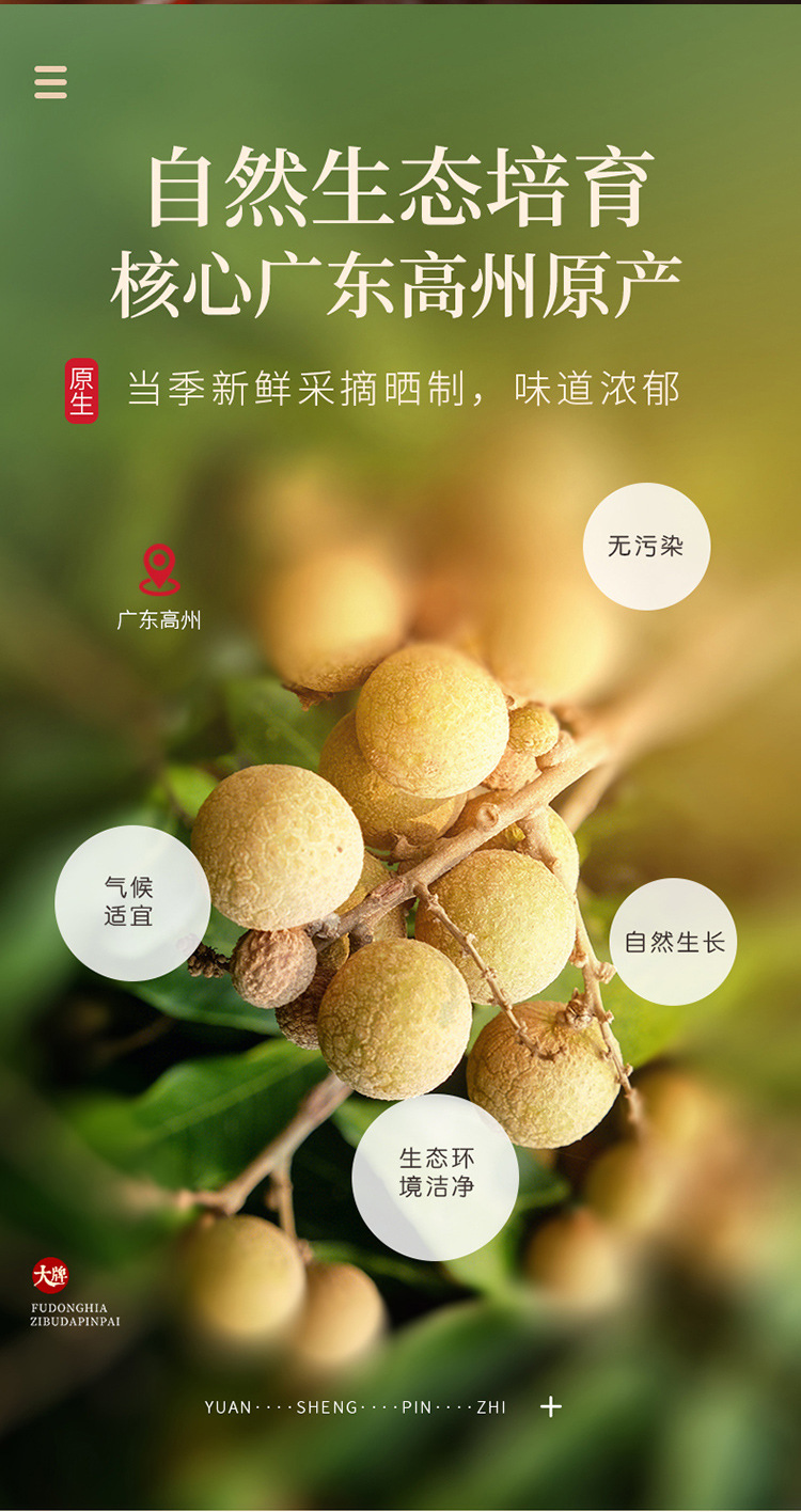 福礼-枸杞红枣桂圆_14.jpg
