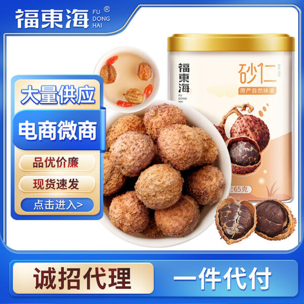 Fudonghai sand kernel 65g authentic spring sand kernel large grain spring sand kernel dried fruit soup steamed meat Guangdong Yangchun specialty