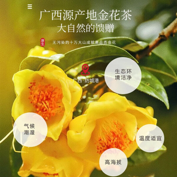 Fudonghai Golden Flower Tea 50g Guangxi Fangchenggang Fruit Tea Herbal Tea Seasonal Health Tea Tea Wholesale - Image 3
