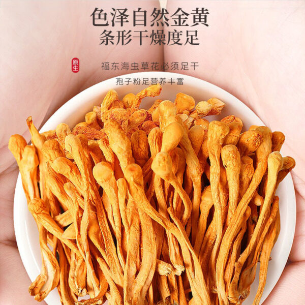 Fudonghai Cordyceps flower 100g North Cordyceps fresh spore head Gold Cordyceps militaris Farmhouse dry goods New goods wholesale - Image 4