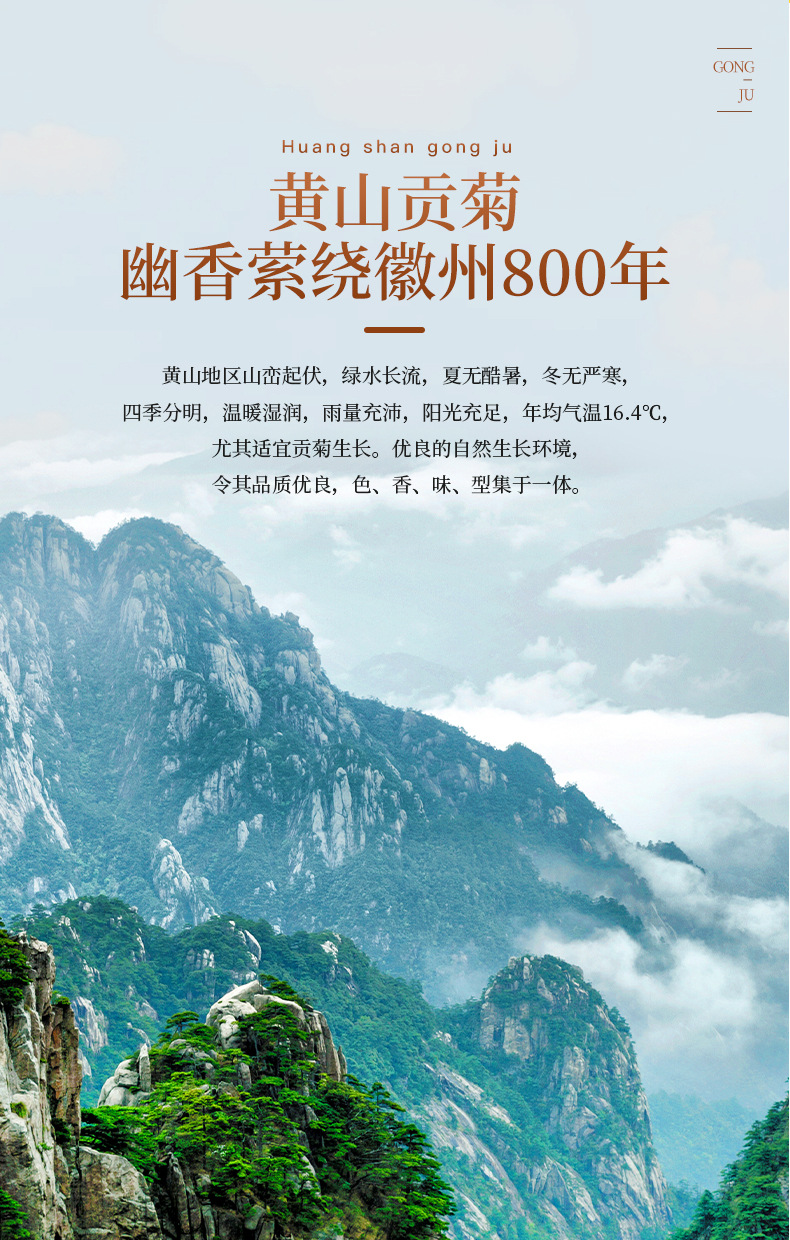 黄山贡菊60克20211218_03.jpg