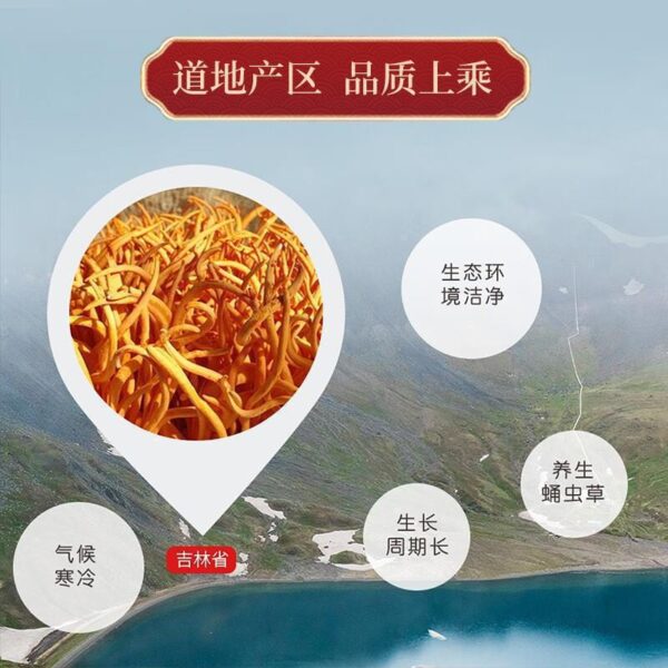 Cordyceps cordyceps flowers dried goods dried cordyceps mushrooms Cordyceps militaris hand-selected manual clean and miscellaneous - Image 4