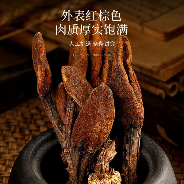 Fudonghai Huichun grass 100g Yunnan Chinese herbal medicine wholesale Dingtianzhu dry goods tea soaked in water male tonic delivery - Image 3