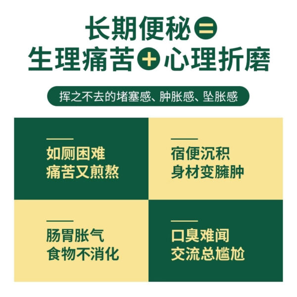 Jiuzhitang Runchang Pills Concentrated Pills 360 Pills Runchang Laxative Non-Wuren Runchang Pills Tong Ren Tang Maren Runchang Pills - Image 2