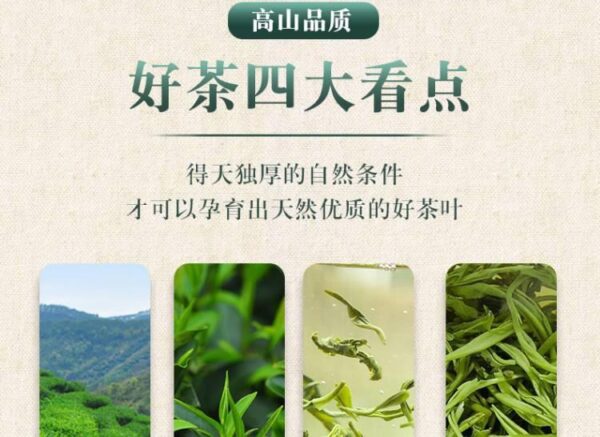 Authentic Biluochun 2023 New Tea Premium Spring Tea 500g Green Tea Mingqian Alpine Rizhao Maojian Tea Drink by yourself - Image 6