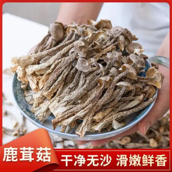 Deer Antler Mushroom Edible Mushroom Dried Goods Nutrition Shiitake Mushroom Soup Ingredients Deer Antler Mushroom Dry Pot Stir-fried Fragrance Fresh and Delicious - Image 2