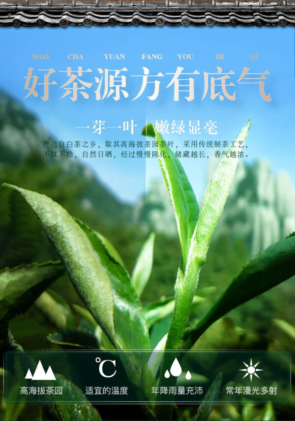 Fujian White Tea White Peony Tea Aged Raw Materials Alpine Old White Tea Shoumei Spring Tea Gift Box Gongmei Old White Tea - Image 6