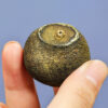 Zhongmin Hongtai Xiaoqing Citrus Aged Palace Ripe Pu'er Tea Leaf Peel Orange Pu Gift Box 250g Gift to Elders - Image 3