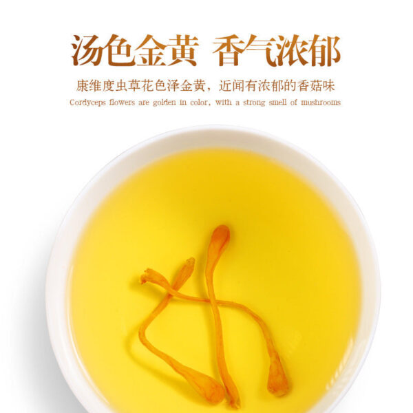 Cordyceps official flagship store dry goods 250g golden chrysalis cordyceps dried mushroom soup package stewed chicken soup from Cong Caohua commercial - Image 3