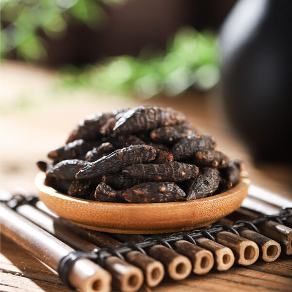 Cyperus Ophiopogon Baishao Angelica Chinese herbal medicine genuine boiling water effect can be used with Cyperus fresh Baishao tablets Angelica wholesale - Image 3