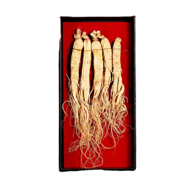 Fudonghai ginseng 100g, Jilin Changbai Mountain ginseng wholesale factory direct sales Northeast specialty sparkling wine ginseng hair - Image 4