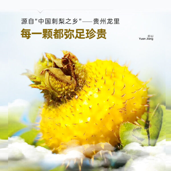 Fudonghai prickly pear puree 50ml * 12 sucrose-free, Guizhou freshly squeezed prickly pear juice plant drink stock solution oral solution - Image 5