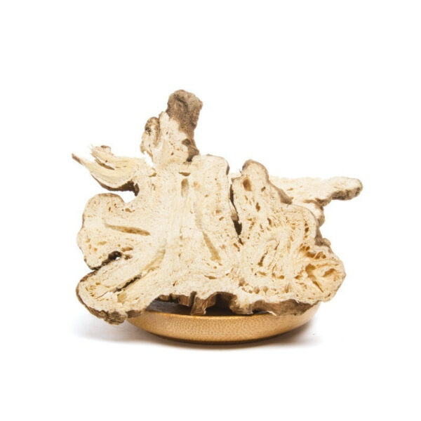 Atractylodes tablets, genuine Atractylodes root, Atractylodes powder mask can be fried or ground 500g Chinese medicinal material Atractylodes - Image 5