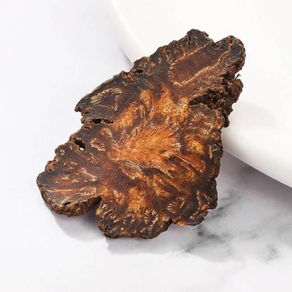 Chuanxiong 500g free shipping Chuanqiong medicinal medium material wild sulfur-free Chuanxiong tablets can be ground Chuanqiong powder with Siwu soup raw materials - Image 4