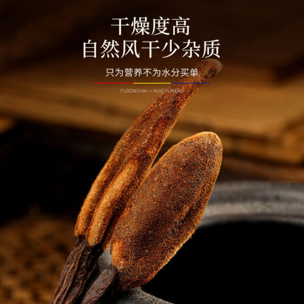 Fudonghai Huichun grass 100g Yunnan Chinese herbal medicine wholesale Dingtianzhu dry goods tea soaked in water male tonic delivery - Image 4