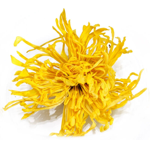 Zhongmin Hongtai herbal tea, golden silk yellow chrysanthemum, big royal chrysanthemum, a cup of golden silk royal chrysanthemum, chrysanthemum tea gift box - Image 4